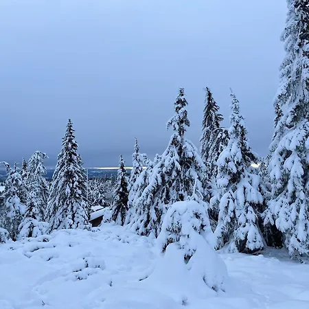 Buhaug - At Alpesi faház