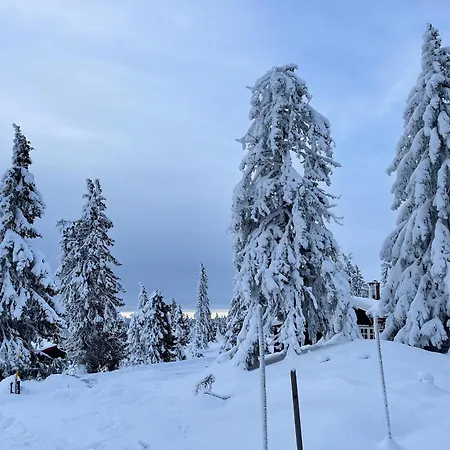 Buhaug - At * Sjusjøen