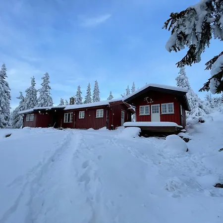 Alpesi faház Buhaug - At *