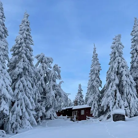 Buhaug - At Alpesi faház *