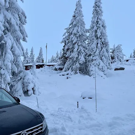 Alpstuga Buhaug - At Sjusjoen
