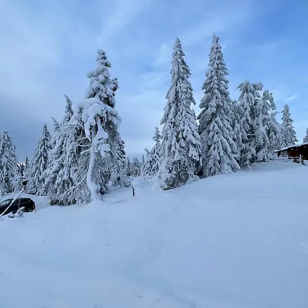 Buhaug - At Alpesi faház