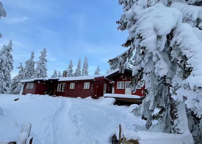 Buhaug - At Sjusjoen