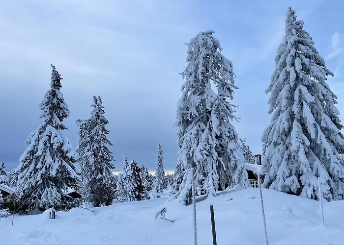 Buhaug - At * Sjusjoen
