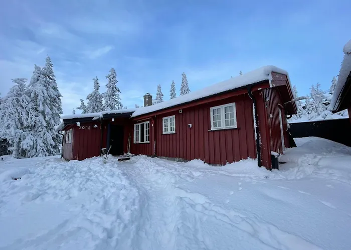 Domek alpejski Buhaug - At Sjusjoen