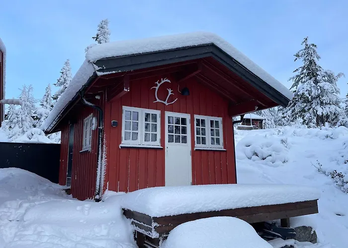 Шале Buhaug - At