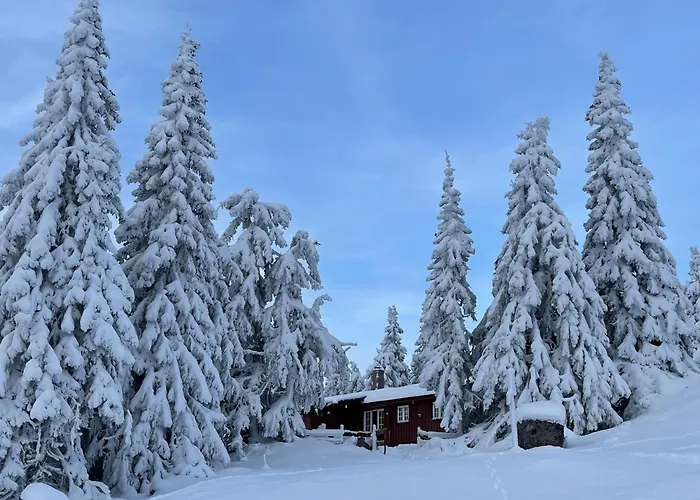 Buhaug - At Domek alpejski *