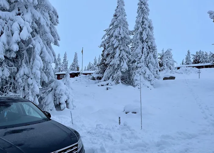 Domek alpejski Buhaug - At Sjusjoen