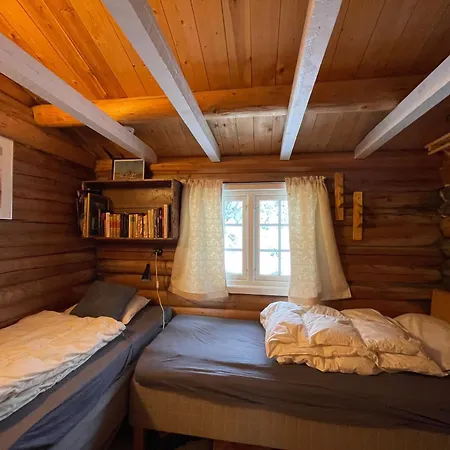 Buhaug - At Sjusjoen