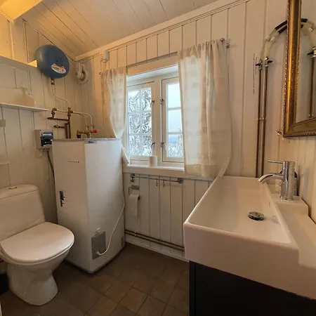 Buhaug - At Alpstuga *