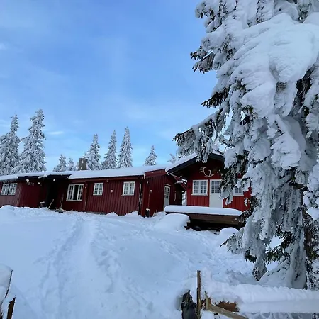 Buhaug - At Sjusjoen