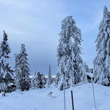 Buhaug - At * Sjusjoen